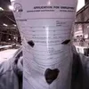 im_job_application