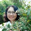 hoa.phan487