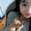 chinese_course.with_ky2