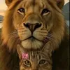 abdel.maghribi