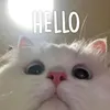 cats.lover829