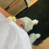 charlie.lgrd