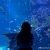 rara_open_all1