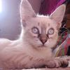 millo6561
