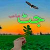 habibjutt929