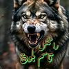🔥قاسم بلوچ رائٹس🔥