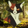 4warrior_cats