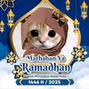 nabawy597