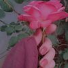 user45148288462711