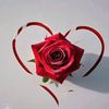 syeda77191