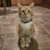bodzio.0072