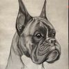 boxer.iron.tunisi