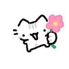 user8117258050103