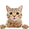 crazycuteanimals4