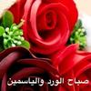 user5988757160690mohmmed