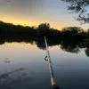 will_f74
