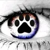 user9671281559192