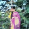 sunlight__59