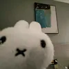patricha.pov