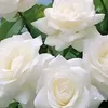 user5301109769070