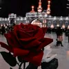 omali7622