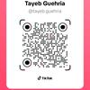 tayeb.guehria