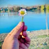 im_suraj5