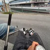 scootz_nici