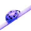 purple.ladybird.art