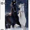 rakan9059