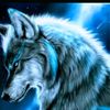 aymen.rabah24