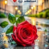 sadeq.al.othmanl