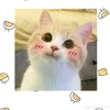 uyny.122