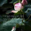 nham.gioi