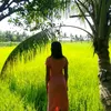 judyann.mangal.gu