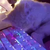 hika3me