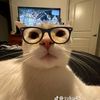 kenzi_cs5