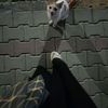 fatema.salem24
