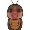 riconhehe