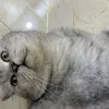 lirililarila_1808