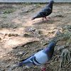 user936019927603