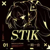 stik_2012