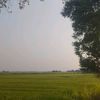 thidarat9434