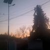 amir_sheraxi1