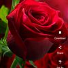 user3560533125774