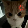 davetaypa
