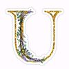 umar009916