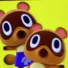 tanukitida