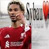 vandijk_10liv