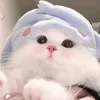 linh.776